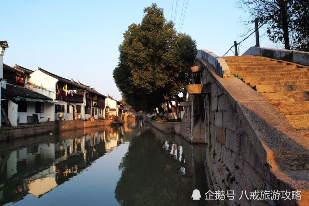 春雨直播app